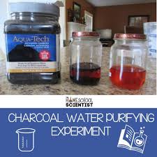 charcoal water purifying experiment