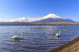 哪一张是您最喜欢的富士山？汇集12个月的富士山美景｜绝景日本
