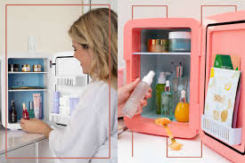 the 10 best skincare fridges of 2024