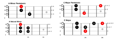 4 Common Scales For Bass Players How To Use Scales