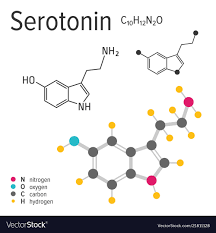 serotonin molecule vector image