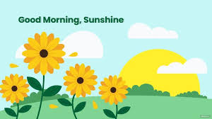 good morning sunflower wallpaper in