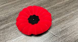 remembrance poppies now available
