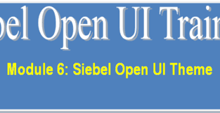 siebel open ui training archives page
