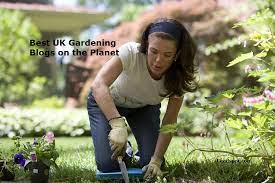 60 Best Uk Gardening Blogs And Websites