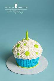 Jeneanne Ericsson Photography Teal And White Giant Cupcake First  gambar png