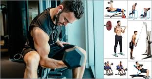 fill your muscle building workout with
