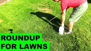 We've identified possible ranges for all of these things you should still continue taking the precautions we are all taking at this time — staying home as much as possible. Roundup For Lawns Before After Review Youtube