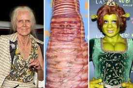 every heidi klum halloween costume