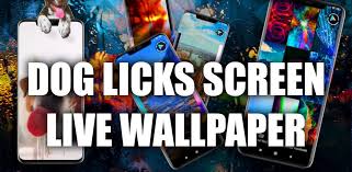 dog licks screen wallpaper apk