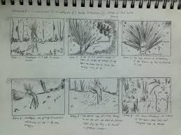 storyboard based on the storyline