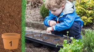 Seven Tips For Gardening With Kids