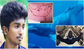 Because there are 50 tasks in this game. 2 More Suicides In Kerala Linked To Blue Whale Challenge Family Says Carved Initials Found On Victims Body India Com