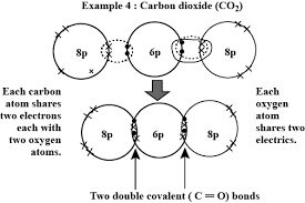 the of bond between atoms in a molecule