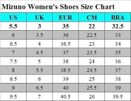 Mizuno Wave Inspire 15 Womens Running Shoes J1gd194428