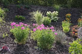 Grober rindenmulch verwest langsamer und ist dadurch langlebiger als feinkörniger rindenmulch. Pinienrinde Pinienmulch Grob Oder Fein Vorteile Nachteile