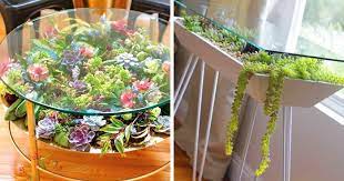 turning tables into succulent gardens