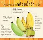  ผงกล้วยดิบสอบถามเรื่องผงกล้วยดิบ/กล้วยดิบค่ะเคยอ่านเจอว่าเป้นแป้งทนการย่อย (resistant starch)กินแล้วไม่มีแคลอรี่จริงมั้ยคะจากคุณ ...