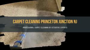 carpet cleaning princeton junction nj