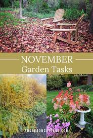 November Garden Chores Tasks Pnw