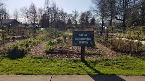 community gardens in corvallis the