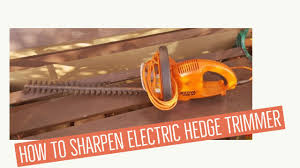 sharpening electric hedge clippers
