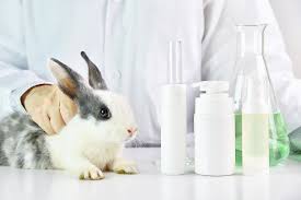 ban on testing for cosmetics