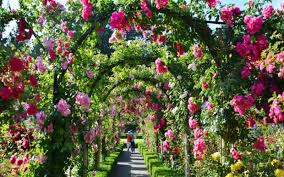 Visit Butchart Gardens From Vancouver