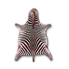 zebra skin rugs wildlife etc