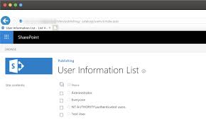 sharepoint user information list