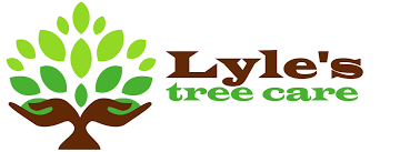 Find a licensed expert in your area who provides services recommended for the types of trees, bushes, and shrubs that grow on your property. Tree Services Near Me Carlisle Tree Service Home Lyle S Tree Care