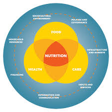 System Thinking and Action for Nutrition | LOHATONY