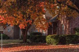 colorful fall foliage at front lawn of