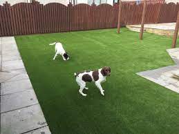 Artificial Grass Can Your Dog Pull It