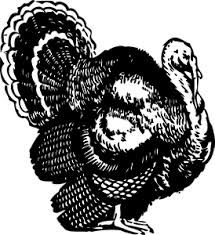 Image result for thanksgiving turkey clipart