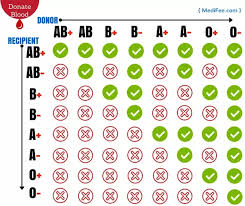 What Are The Compatibility Of Blood Types Quora