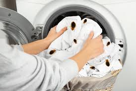 does washing clothes kill bed bugs