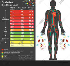 Diabetes Chart Vector Photo Free Trial Bigstock