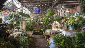 Buy plants from our online garden centre and plants nursery, offering a massive selection of garden plants for sale. Urban Garden Center