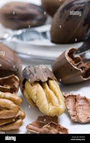 Pecan nut in shell and cracked nuts close up with nutcracker Stock Photo -  Alamy