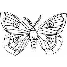 Download and print these moth coloring pages for free. Moth Coloring Page Butterfly Coloring Page Coloring Pages Printable Coloring Pages