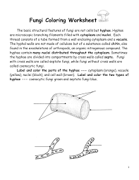 Make your queries as concise as possible. Fungi Coloring Worksheet