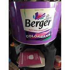 Berger Paints Color Tinting Service