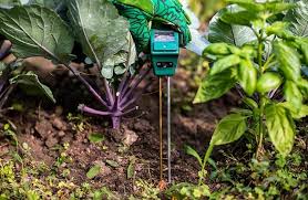 5 Best Moisture Meters For Your Plants