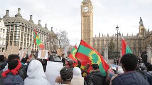 Image result for oromo london conference