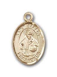 st albert the great medals and