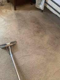 the 1 carpet cleaning in staten island