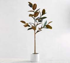 This artificial green potted rubber tree with 132 leaves comes in a black plastic insertable pot, making this plant easy to place in the decorative container of your choice. Faux Variegated Rubber Tree Pottery Barn