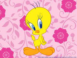 50 tweety bird wallpapers free