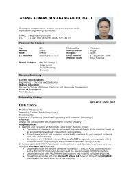 Sample Resume Job Application     Resume Examples